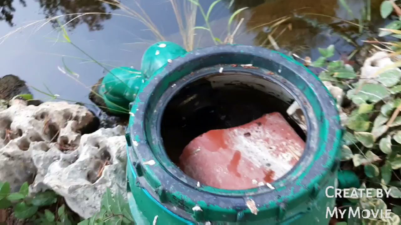 Havuz filtre sistemi, Koi havuzu filtre sistemi,balık havuzu nasıl temizlenir,DIY Filtre sistemi,DIY