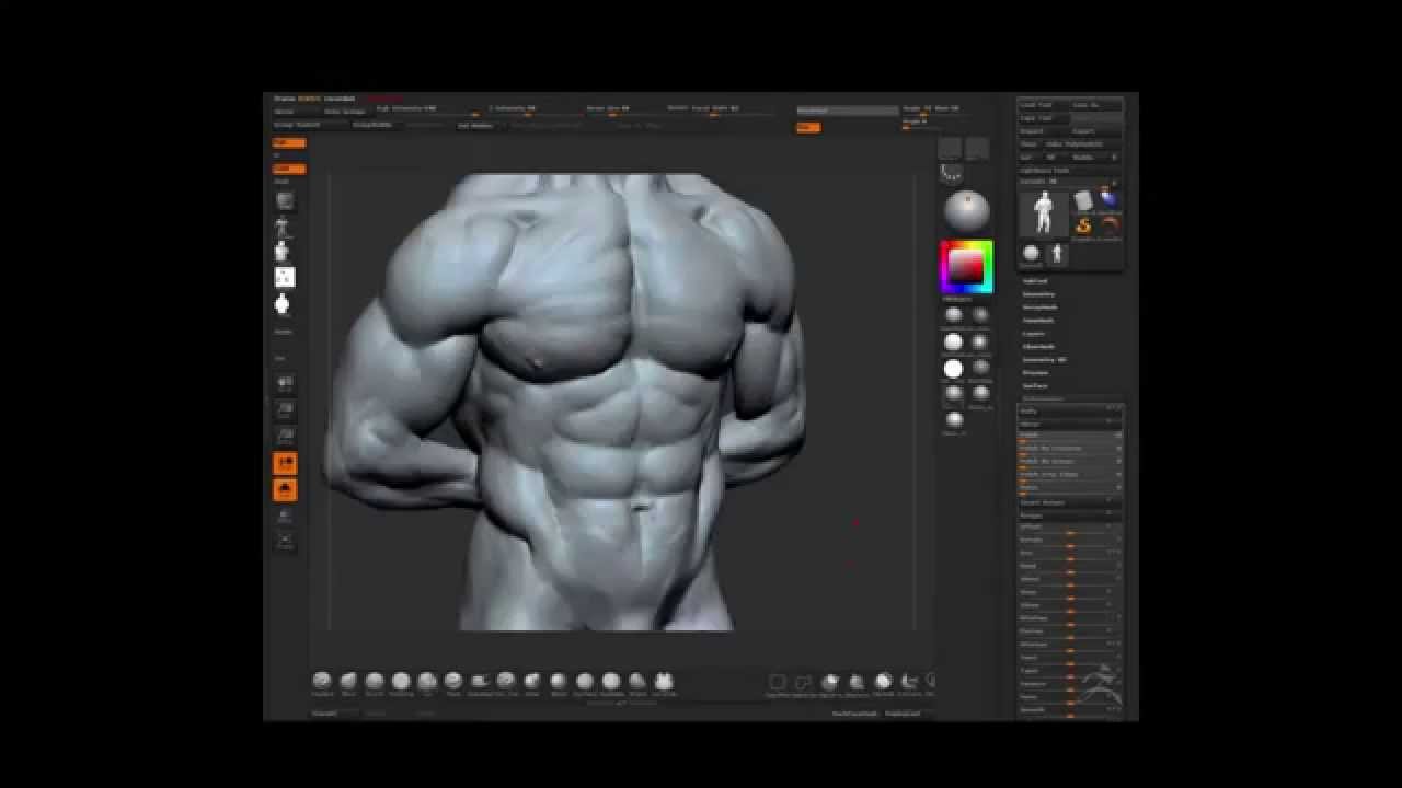 Zbrush speed sculpt - torso - anatomy study - YouTube