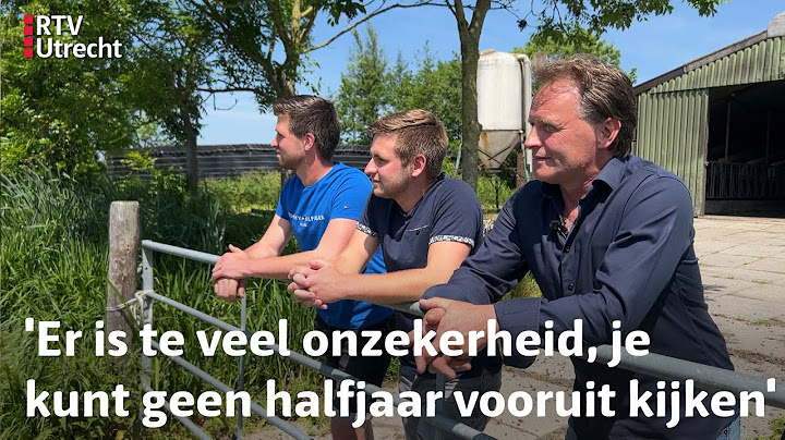 Deze Harmelense boeren emigreren naar Frankrijk: 'We gaan het zeker missen' | RTV Utrecht