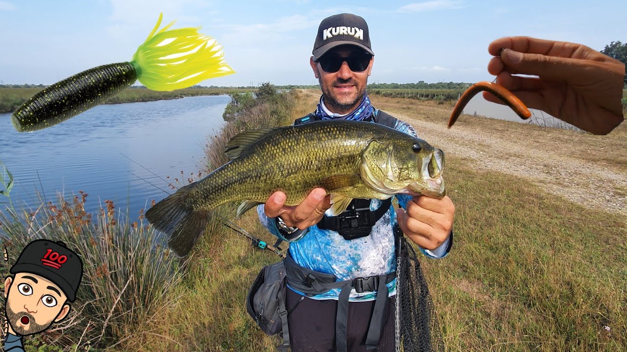 Comment réussir sa session BlackBass : présentation leurres et touches en direct