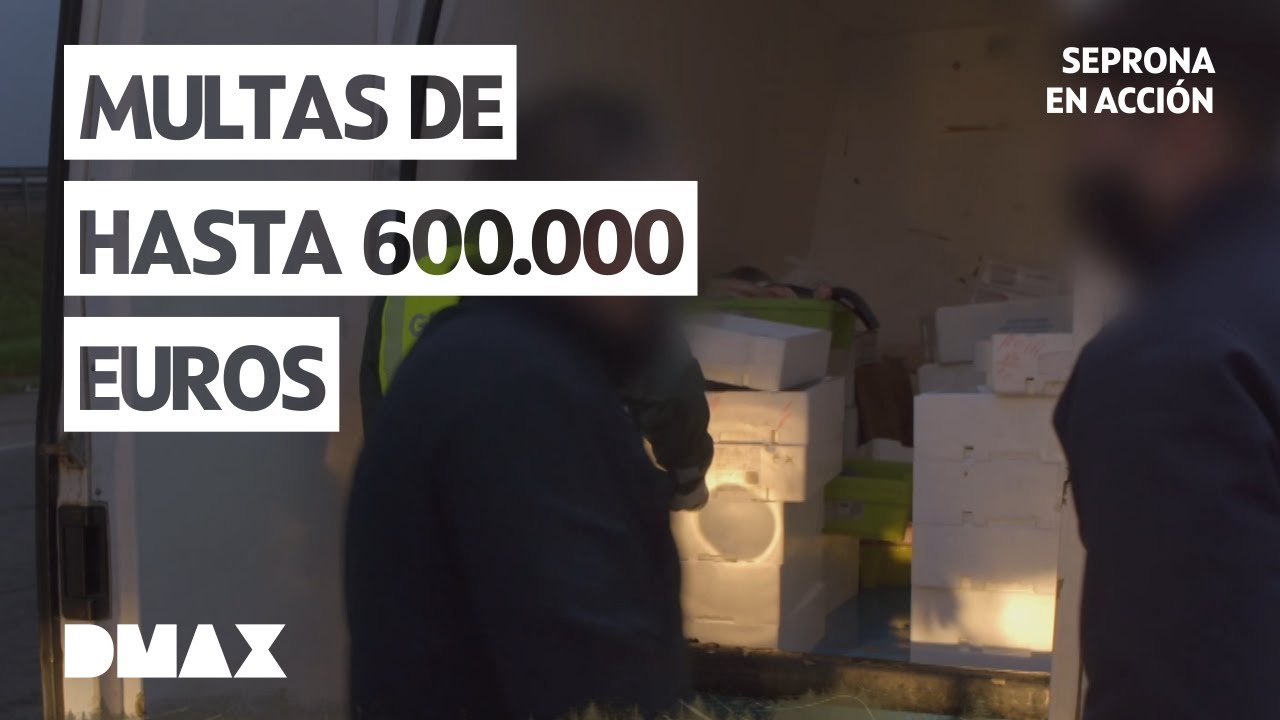 Un rescate, furtivos y pesca ilegal | Seprona en acción