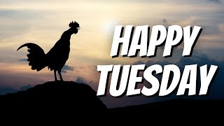 Happy Tuesday Images - Download the Best Happy Tuesday Images app Now!