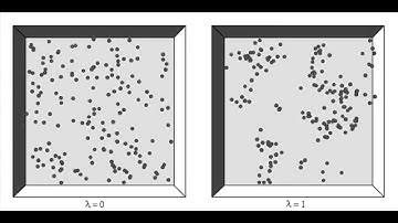 Numerical simulation of the sedimentation process of a magnetic dispersion