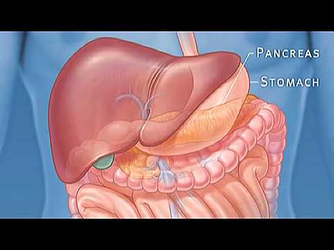 Tumore del pancreas: la prevenzione non è un miraggio ...
