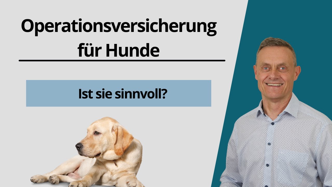 Devk Hunde Op Versicherung