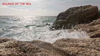Echoes of the Shore: A Coastal Symphony by Sounds of the Sea 154 views 3 weeks ago 40 minutes