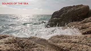 Echoes of the Shore: A Coastal Symphony