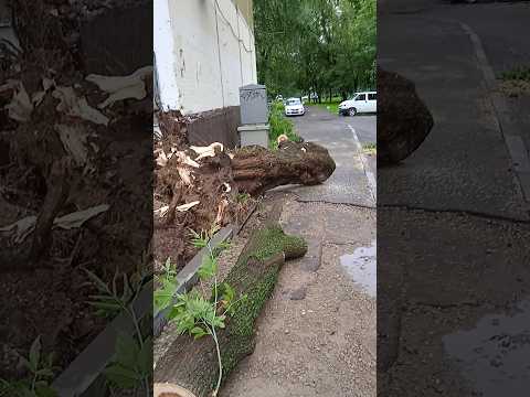 Последствия урагана 20.06.2024 #Shorts #TikTok