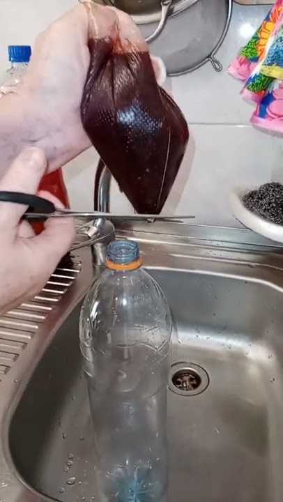 умывание колой
