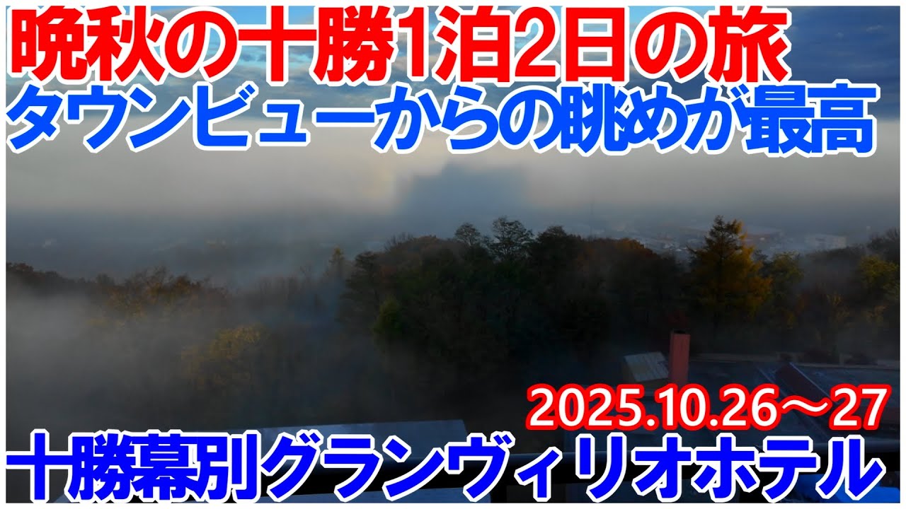 晩秋の十勝1泊2日の旅～十勝幕別グランヴィリオホテル 朝もやの幻日 白鳥の飛来