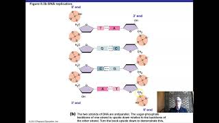 Ch 8 Part I Microbial Genetics