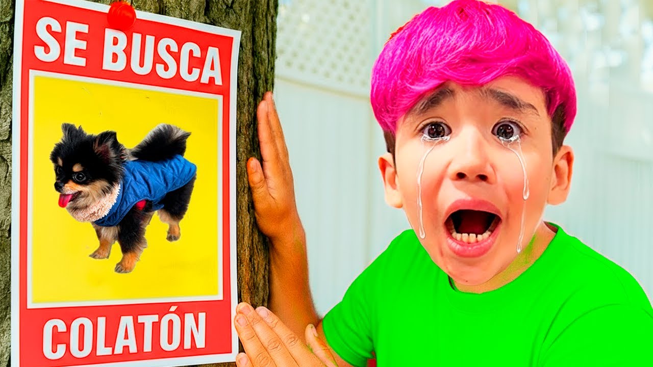 MI PERRO COLATÓN SE PERDIÓ 😭💔