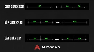 AutoLISP | Chia Dimension – Nối Dimension – Cắt Chân Dim Trong AutoCAD