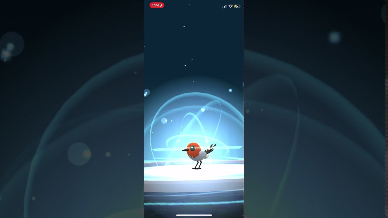 100 IV Fletchling Evolution into Fletchinder and Talonflame (Pokémon