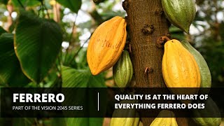 'Sacco Conosciuto' - Ferrero’s Dedication to Responsible Sourcing