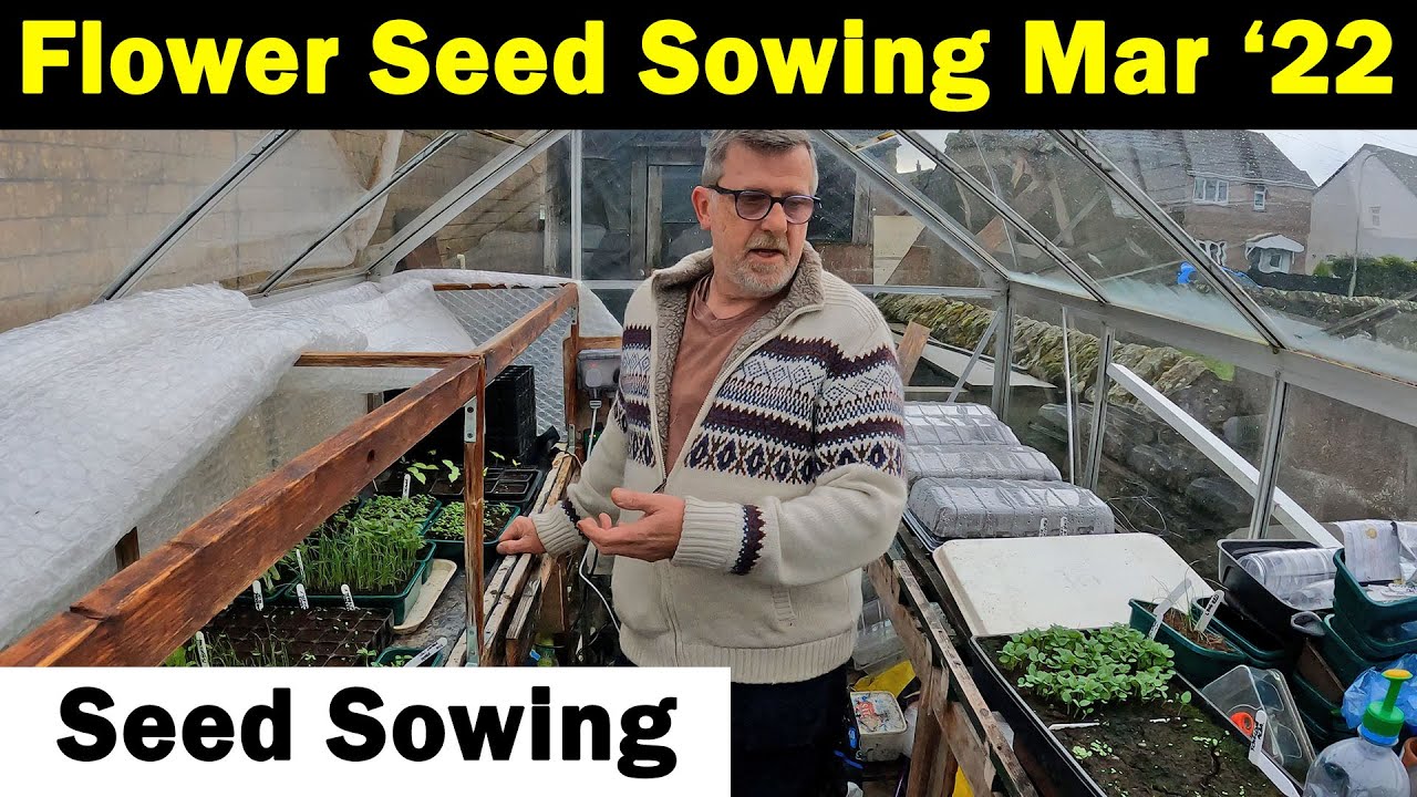 Flower Seeds to Sow in March Seed Sowing in March Flower Seed Sowing Green Side Up YouTube