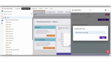 How to Create and Manage Tags in the Asset Naming Assistant | Audienz + Marketo