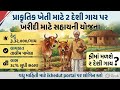 2 Desi Cow Yojana Gujarat 2026 | 35% Subsidy | Ikhedut Portal Apply | 2 દેશી ગાય પર સહાય યોજના 2026