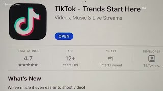 TikTok sues US government over potential ban. Here