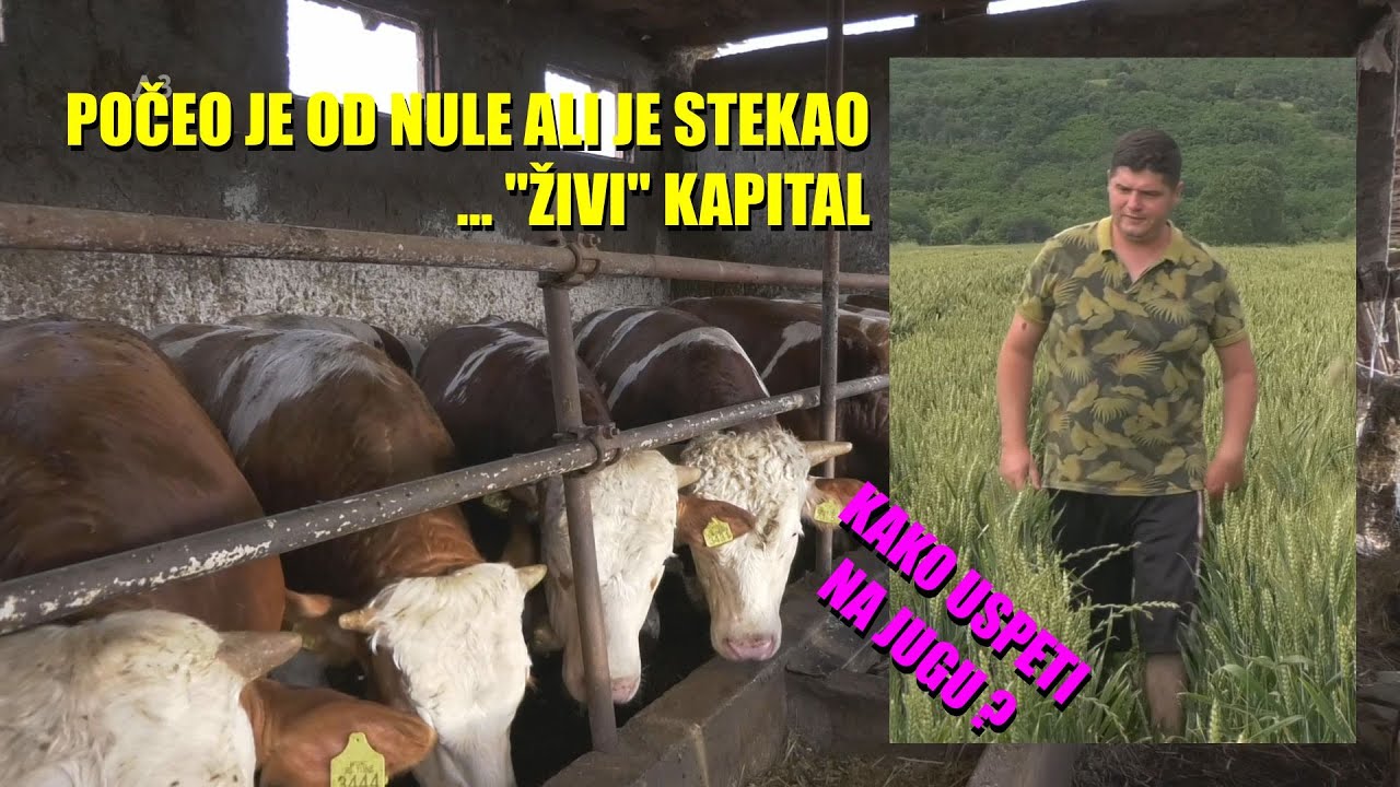 TOV JUNAD NA JUGU - počeo sa kapitala 0 i evo ŠTA JE NAPRAVIO - zašto je JUG SRBIJE zapostavljen