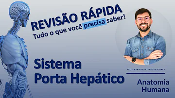 Como é formado o sistema porta Hepatico?