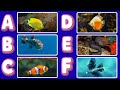 ABC Fish Song for Kids 🐠 | Learn Ocean Fish Names from A to Z | Fun Educational Song for Children