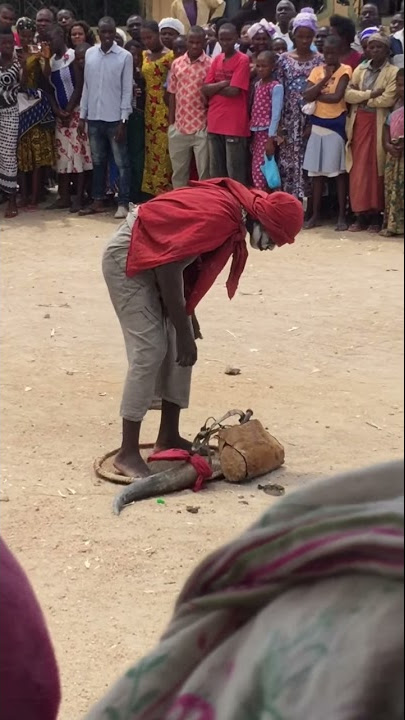 Cheki jama alivyo paa na ndege ya kichawi utashangaa