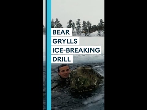 Video: Ar bear Grylls sas?
