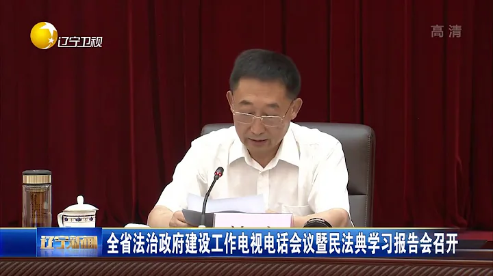 遼寧省法治政府建設工作電視電話會議暨民法典學習報告會召開 - 天天要聞