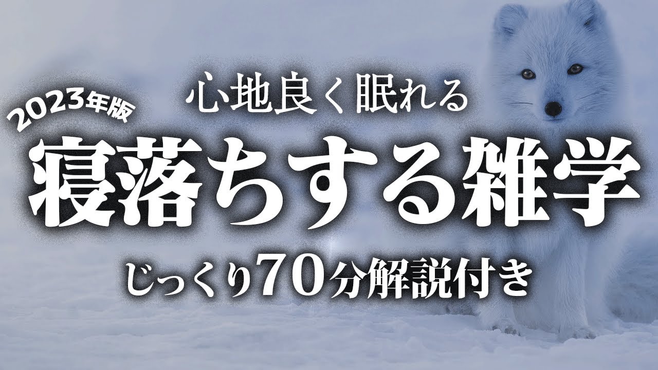 【睡眠導入】寝落ちする雑学【リラックス】とても深い睡眠へ招待します♪