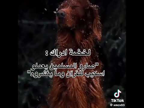 قران لنشر التوبه ومحو الذنوب
