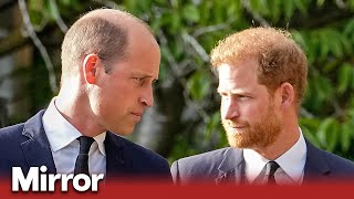 Prince Harry alleges he was physically attacked by William