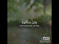 بصوت عذب ما تيسر من سورة العنكبوت حسام الكوافحة