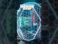 The AI WhatsApp Bot Scam Clearing Bank Accounts! ⚠️
