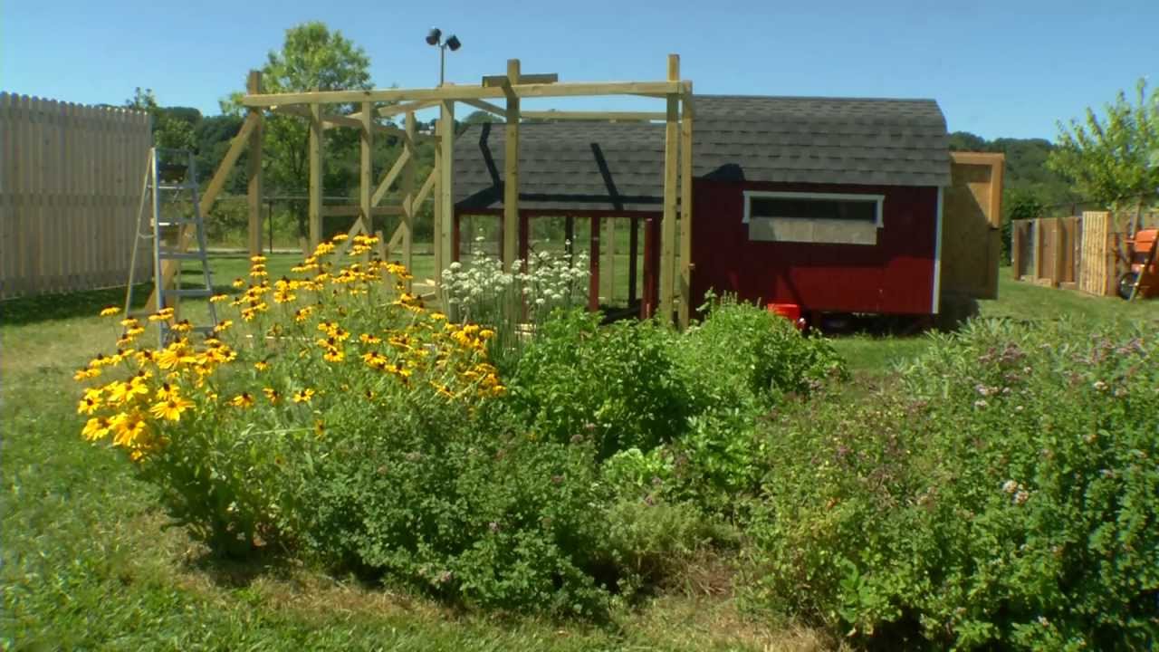 Akron Community Garden Tour 2013 YouTube