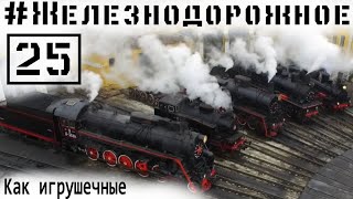 Greate parade of steam locomotives. #Railway video project - 25 episode