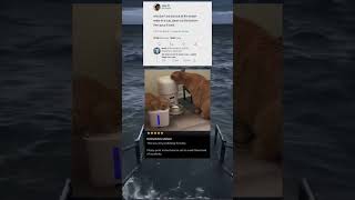 Instructions Unclear