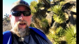Sawtooth Short Loop Trail near Pioneertown