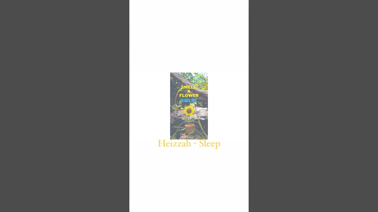 Heizzah - Sleep