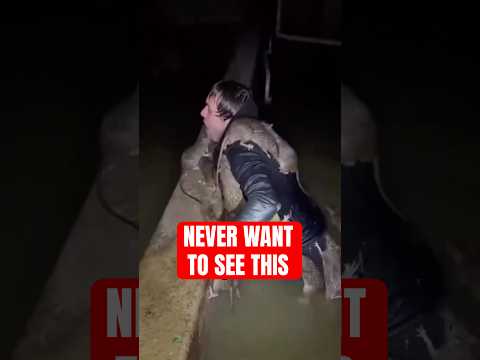 Animal Moments You Can't Unsee