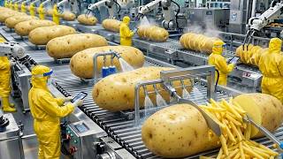 Inside a Modern Potato Factory | Amazing Automated Food Processing Technology