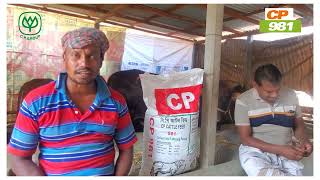 C.P. CATTLE FEED 981|| TAPOSHI ENTERPRISE || C.P. BANGLADESH CO.,LTD||