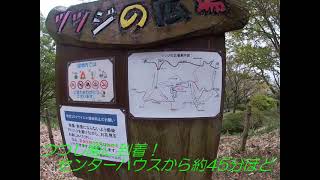 コロナ禍で行ける大阪府のお薦めハイキングコース