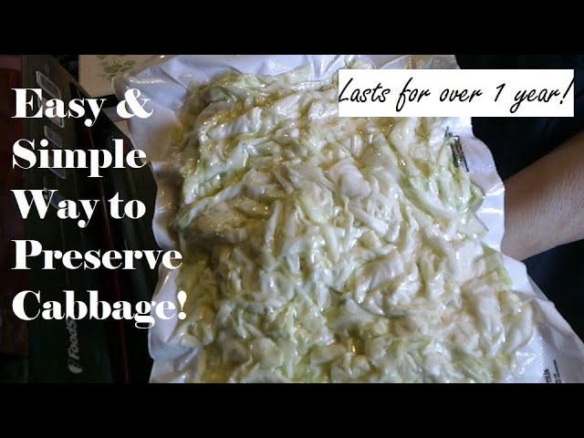 How to Freeze Cabbage - It's a Veg World After All®