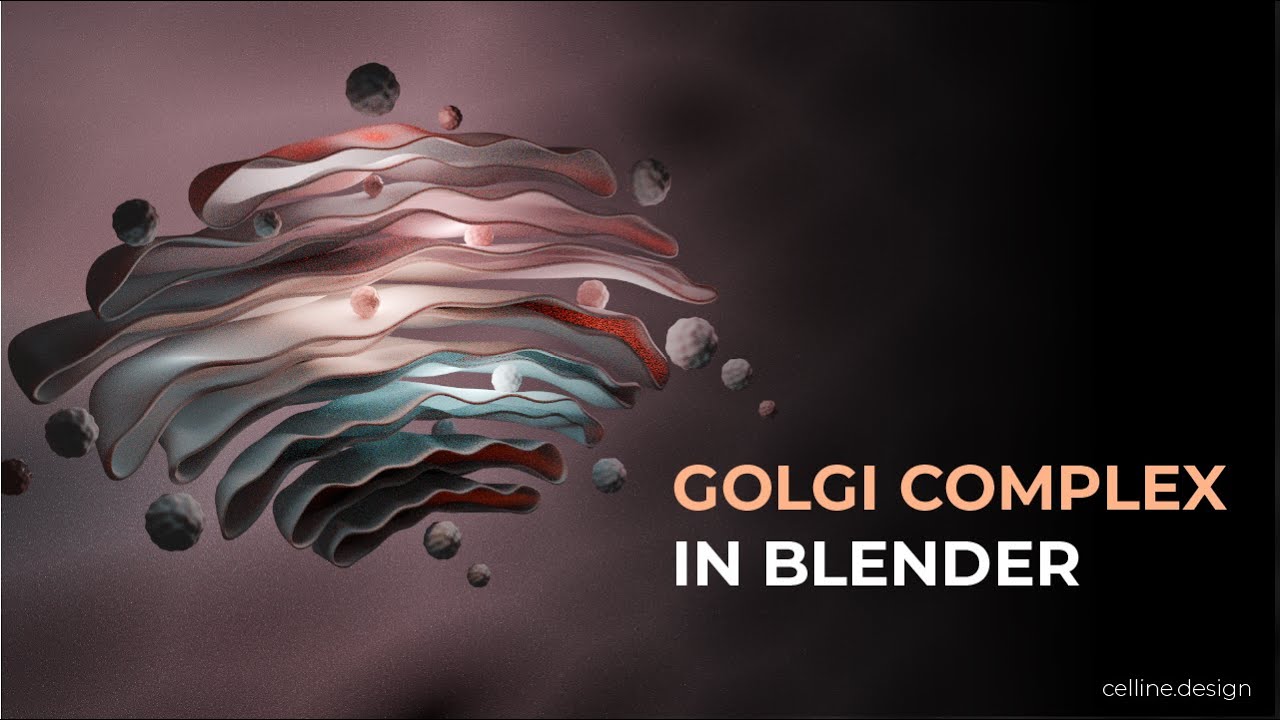 Blender Tutorial | Creating a Golgi Complex | Beginner Level - YouTube