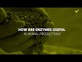 Made simple  how are enzymes useful in animal production