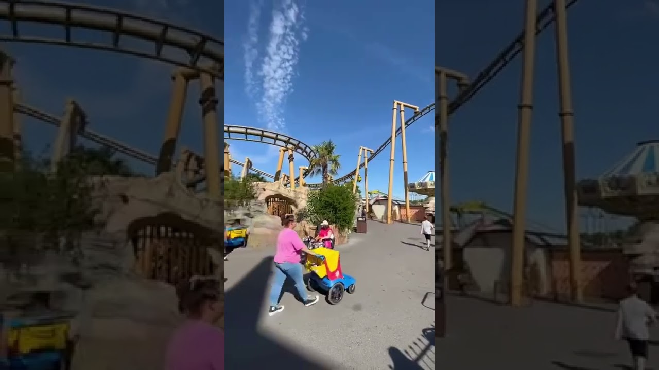 Flight of the pterosaur