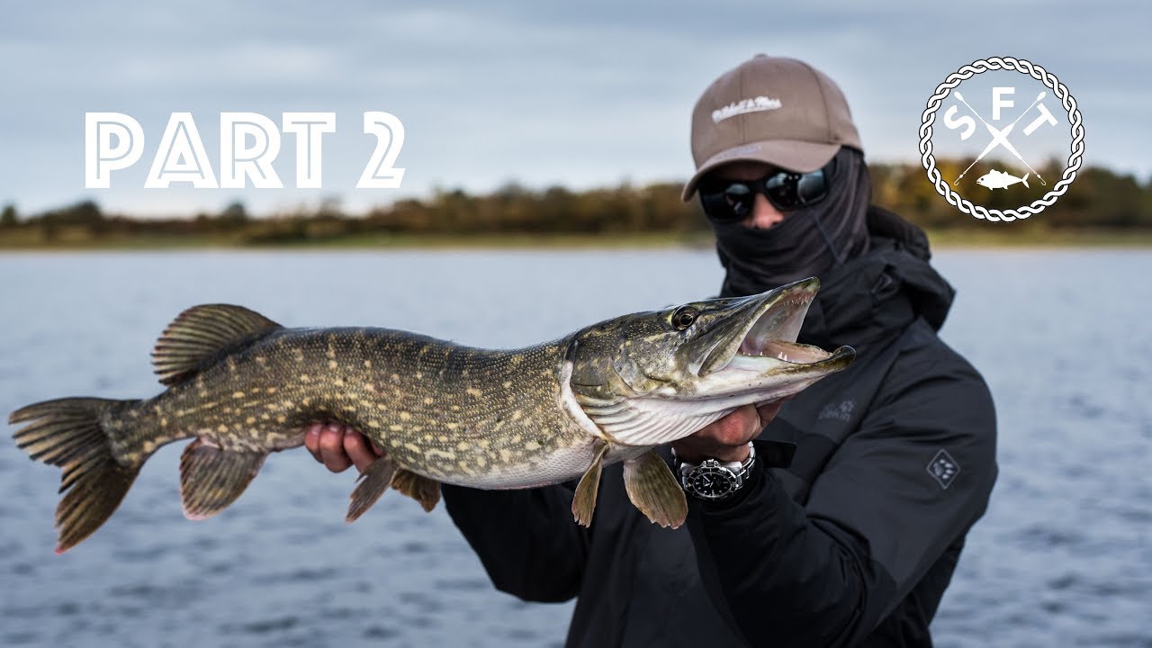 CRAZY PIKE Fishing in Ireland 4K / Lough Ree & Shannon / Part 2 / Swiss