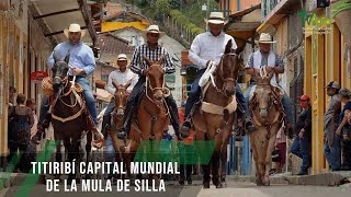Titiribí Capital Mundial De La Mula De Silla - TvAgro por Juan Gonzalo Angel Restrepo