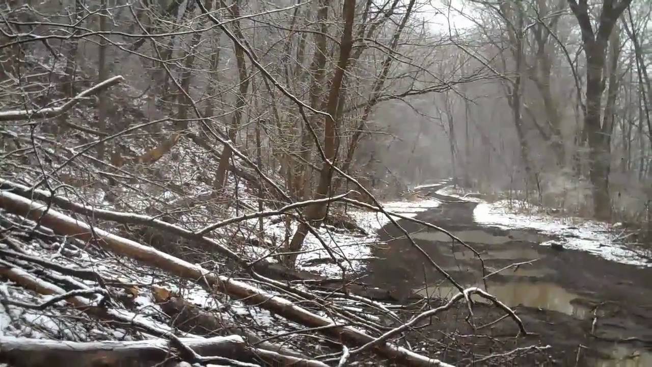 Stringtown and/or Carmichaels, PA, Greene County hill side mines. 2 of